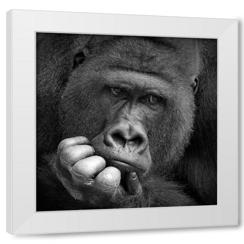 I Had A Dream White Modern Wood Framed Art Print by Wenner-Braun, Antje
