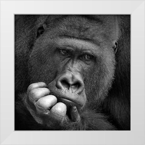I Had A Dream White Modern Wood Framed Art Print by Wenner-Braun, Antje
