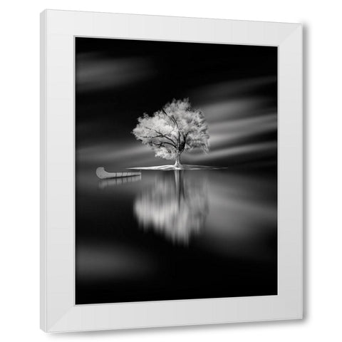 Quiet White Modern Wood Framed Art Print by David Senechal Photographie