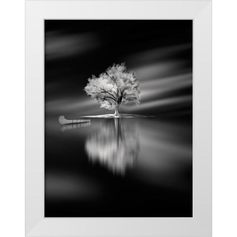 Quiet White Modern Wood Framed Art Print by David Senechal Photographie