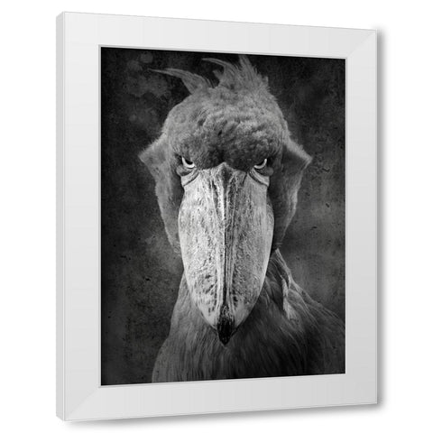 Angry Bird White Modern Wood Framed Art Print by Lehto, Timo
