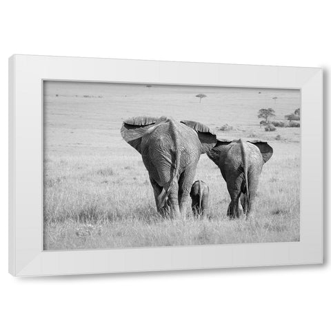 Three Butts! White Modern Wood Framed Art Print by Khataw, Ali