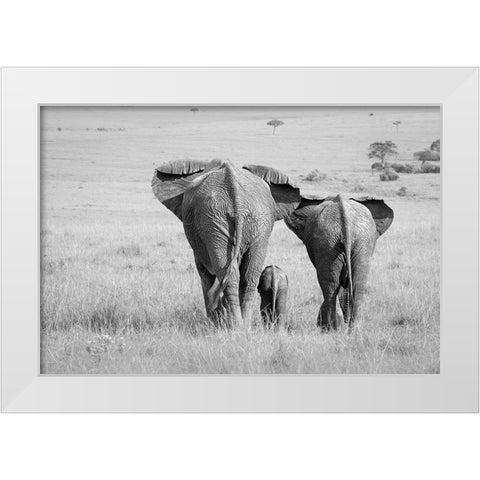 Three Butts! White Modern Wood Framed Art Print by Khataw, Ali