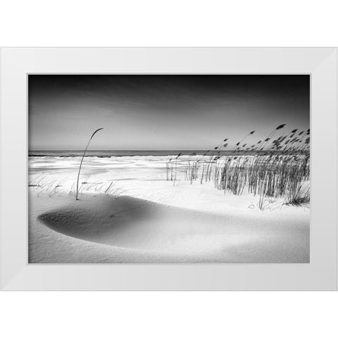 Orchestra White Modern Wood Framed Art Print by Cirulis, Reinis