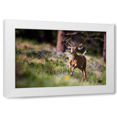 Happyyyyyyy... White Modern Wood Framed Art Print by Verdon