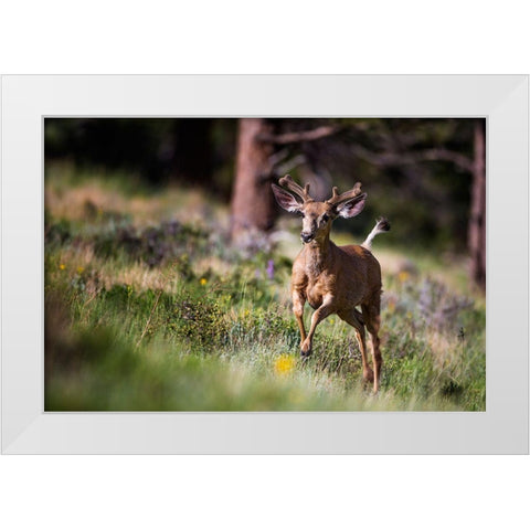 Happyyyyyyy... White Modern Wood Framed Art Print by Verdon