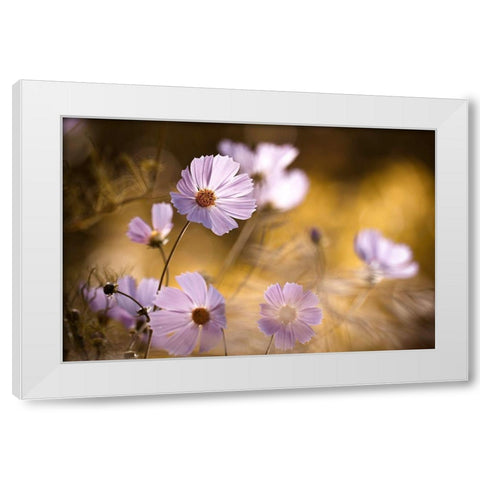 The Lion King White Modern Wood Framed Art Print by Bravin, Fabien