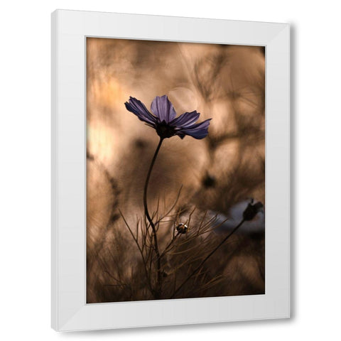 The Dancing Queen White Modern Wood Framed Art Print by Bravin, Fabien