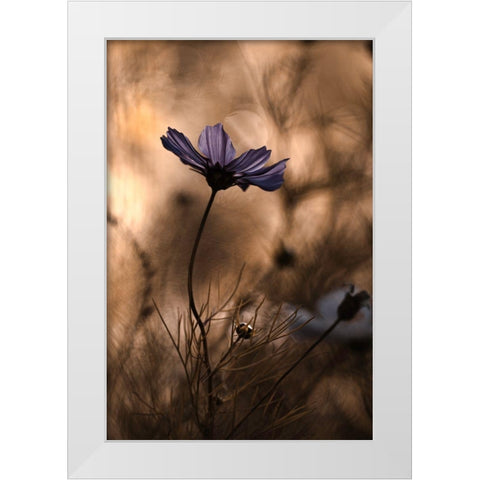 The Dancing Queen White Modern Wood Framed Art Print by Bravin, Fabien