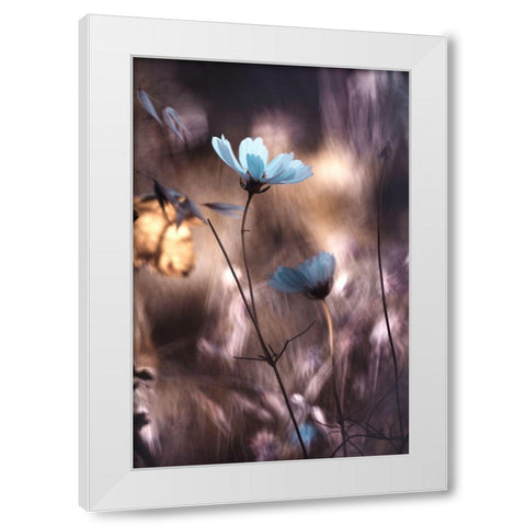 Lueur Dautomne White Modern Wood Framed Art Print by Bravin, Fabien