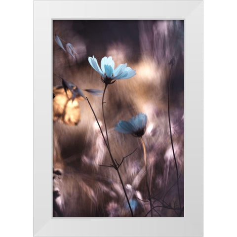 Lueur Dautomne White Modern Wood Framed Art Print by Bravin, Fabien