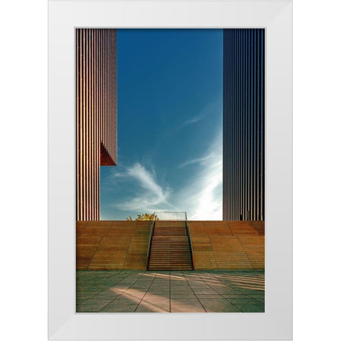 Morning Light White Modern Wood Framed Art Print by Rauwerdink, Jan