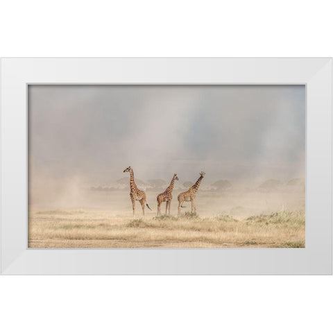 Weathering The Amboseli Dust Devils White Modern Wood Framed Art Print by C. Sink, Jeffrey