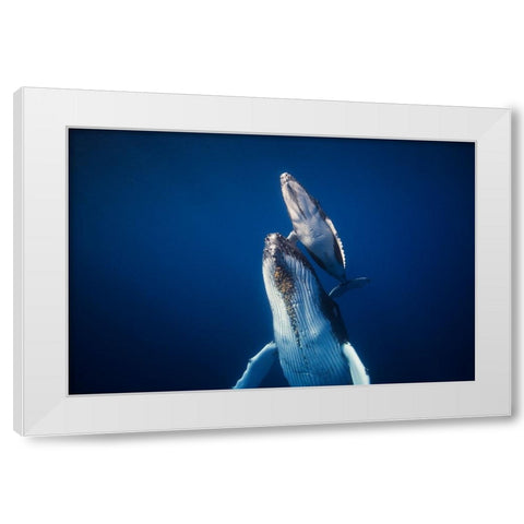 Come Back To The Surface White Modern Wood Framed Art Print by Gabriel, Barathieu