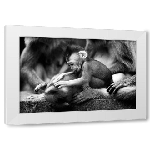 Untitled White Modern Wood Framed Art Print by Lee, Marcus