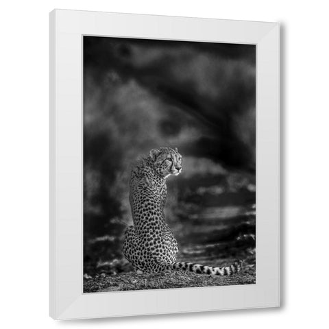 The Look Back White Modern Wood Framed Art Print by Marx, Jaco