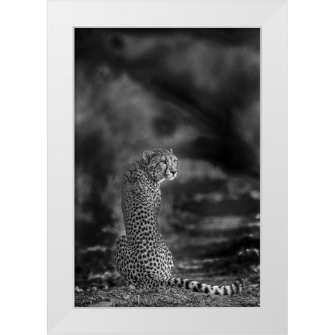 The Look Back White Modern Wood Framed Art Print by Marx, Jaco