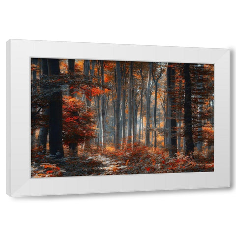 Painting Forest White Modern Wood Framed Art Print by Neer, Ildiko