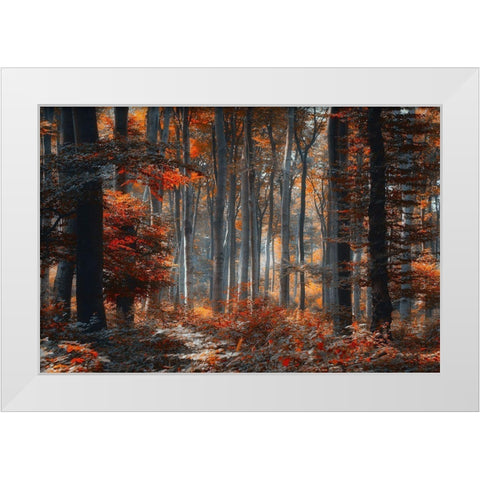 Painting Forest White Modern Wood Framed Art Print by Neer, Ildiko