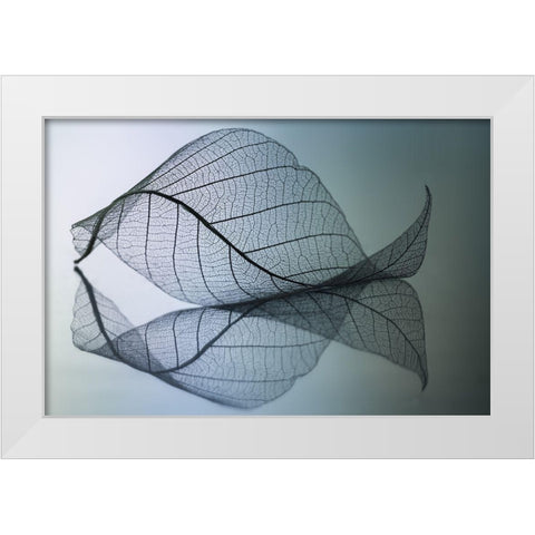 Curvaceousness White Modern Wood Framed Art Print by Kowatari, Shihya