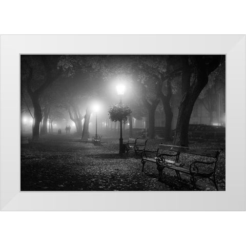 Foggy Day White Modern Wood Framed Art Print by Nikoloulis, Ilias