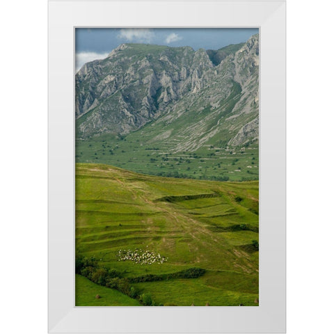 Mamma-Im Coming Home White Modern Wood Framed Art Print by Petru Laurentiu, Pop