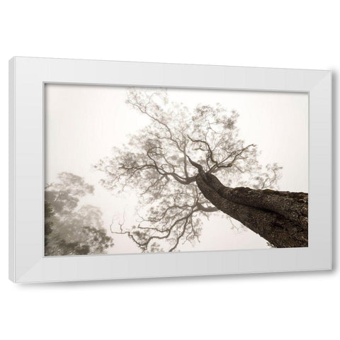Between Heaven And Earth White Modern Wood Framed Art Print by Wrobel, Karsten
