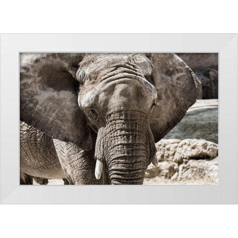 The Boss White Modern Wood Framed Art Print by Araujo, Nuno