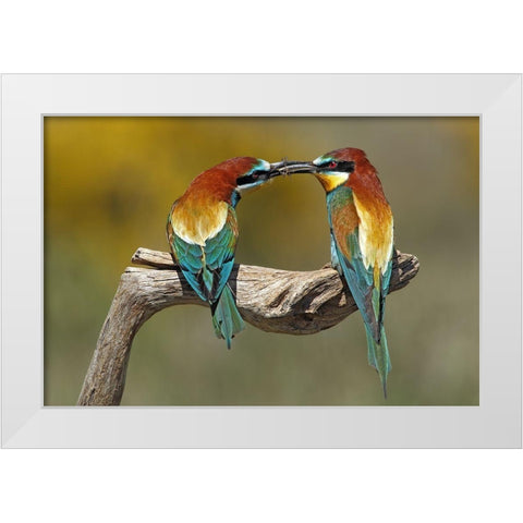 True Love White Modern Wood Framed Art Print by Merino, Nicolas