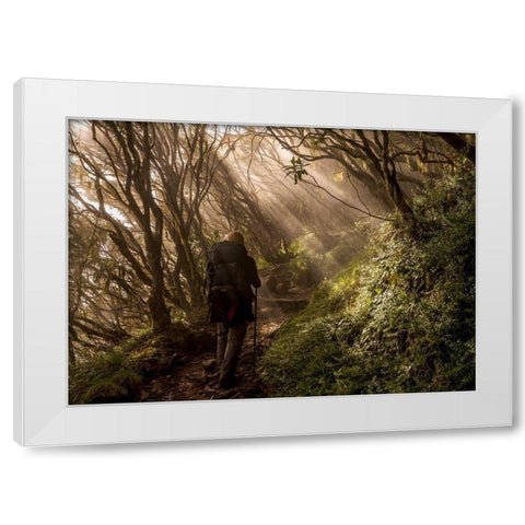Through The Enchanted Forest White Modern Wood Framed Art Print by Wrobel, Karsten