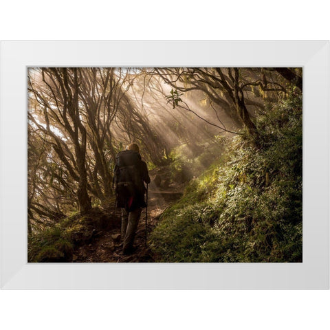 Through The Enchanted Forest White Modern Wood Framed Art Print by Wrobel, Karsten