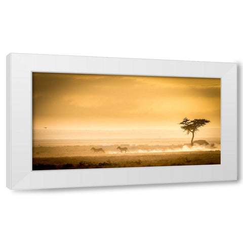 Training, Because The Lions Await. White Modern Wood Framed Art Print by C. Sink, Jeffrey