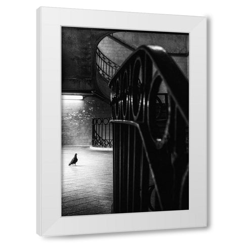 Big Bird In A Small Cage White Modern Wood Framed Art Print by Mexia, Laura