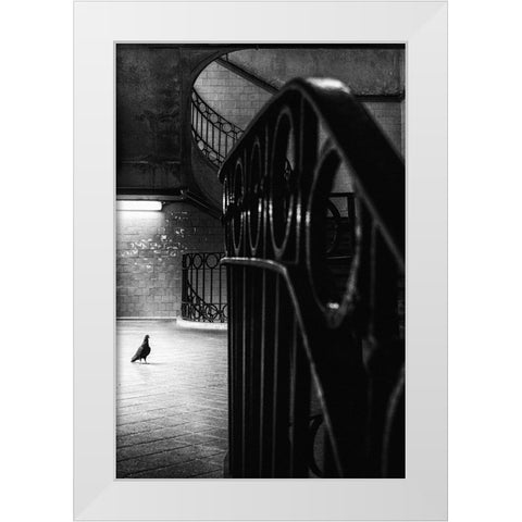 Big Bird In A Small Cage White Modern Wood Framed Art Print by Mexia, Laura