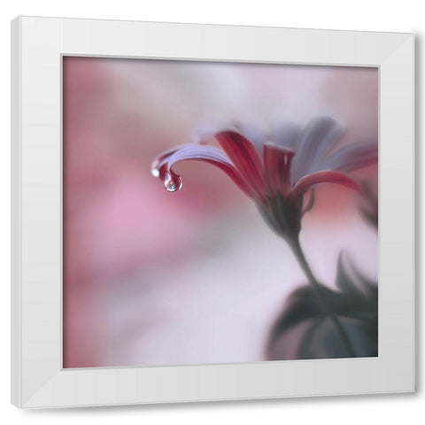 Invisible Touch... White Modern Wood Framed Art Print by Nan, Juliana