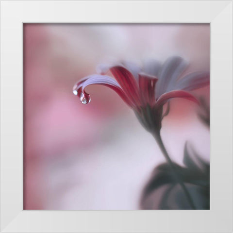 Invisible Touch... White Modern Wood Framed Art Print by Nan, Juliana