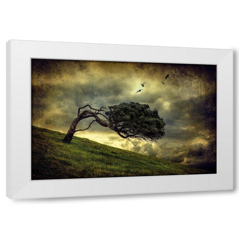 Winds Of Change White Modern Wood Framed Art Print by Elgar, Peter