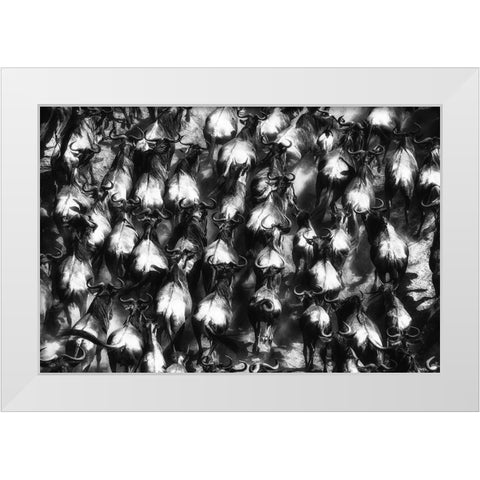 Great Escape White Modern Wood Framed Art Print by Alnaser, Mohammed