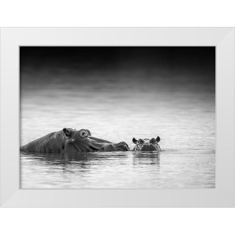 Eye Level White Modern Wood Framed Art Print by Marx, Jaco