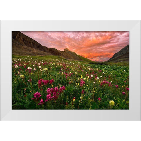 Carpet Of Wildflowers White Modern Wood Framed Art Print by Xu, Mei