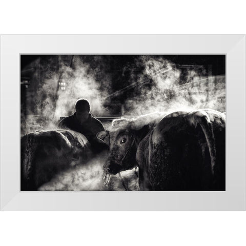 Farm Life White Modern Wood Framed Art Print by Flour, Piet