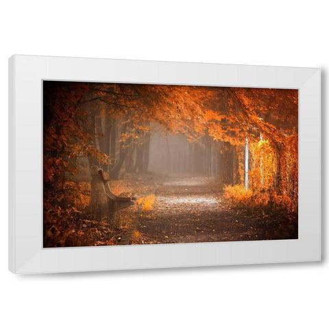 Waiting To Fall White Modern Wood Framed Art Print by Neer, Ildiko