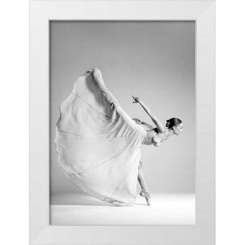 Butterfly White Modern Wood Framed Art Print by Branicki, Arkadiusz
