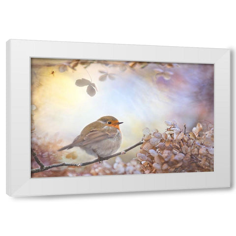 Robin On Dreams White Modern Wood Framed Art Print by Teuni