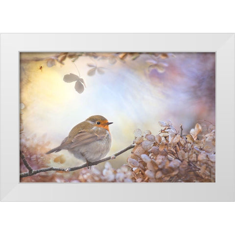 Robin On Dreams White Modern Wood Framed Art Print by Teuni
