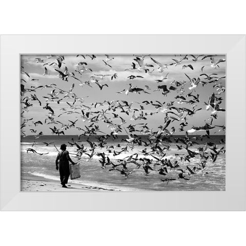 Birds Birds White Modern Wood Framed Art Print by Van Der, Liesbeth