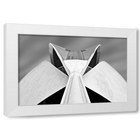 Calatrava White Modern Wood Framed Art Print by Van Zaane, Alida