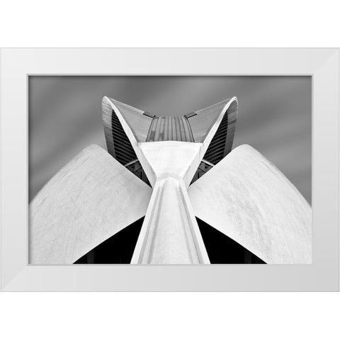 Calatrava White Modern Wood Framed Art Print by Van Zaane, Alida