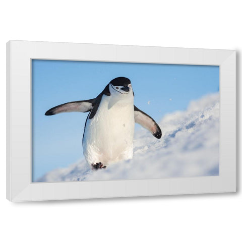 Running Up That Hill White Modern Wood Framed Art Print by Breuker, Hillebrand