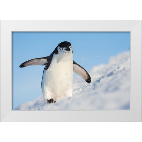 Running Up That Hill White Modern Wood Framed Art Print by Breuker, Hillebrand